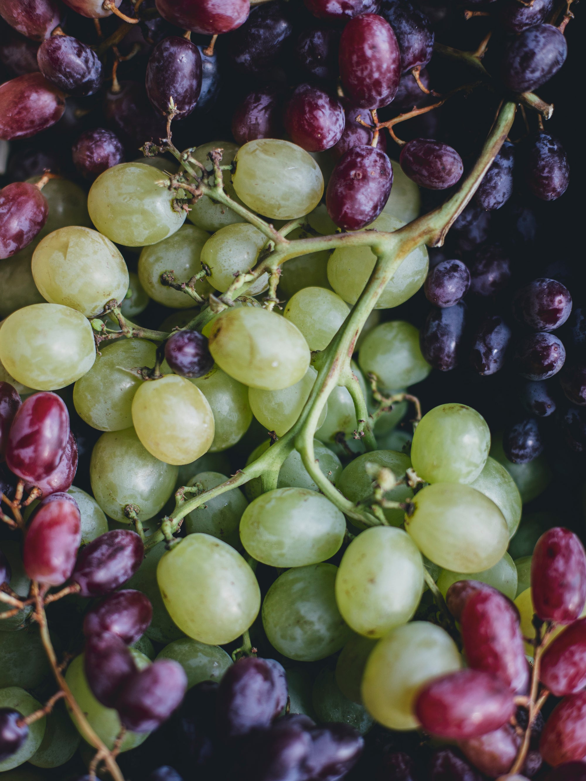 <p>Desserts English </p>