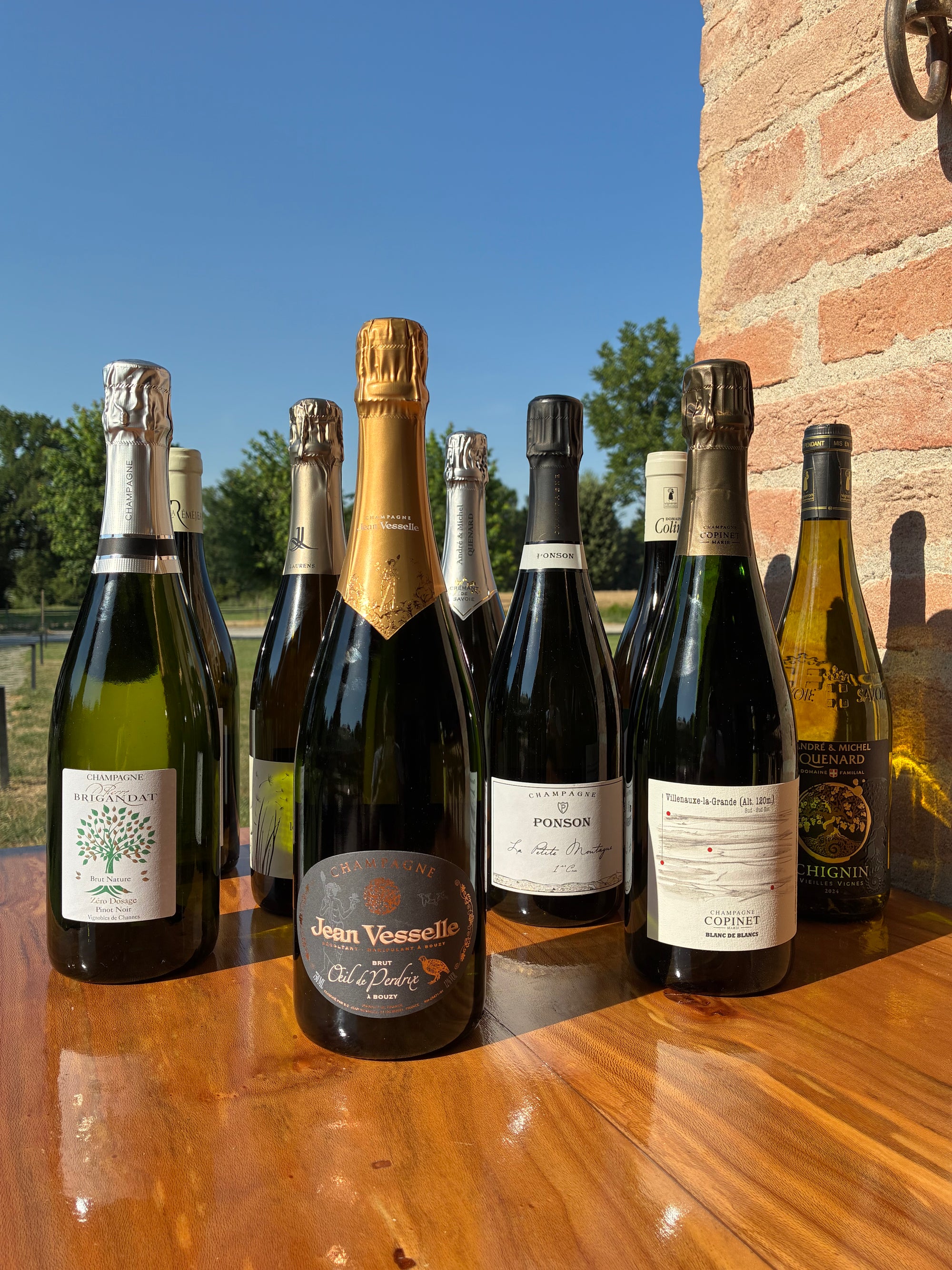 <p>CARTA VINI&nbsp;</p>
